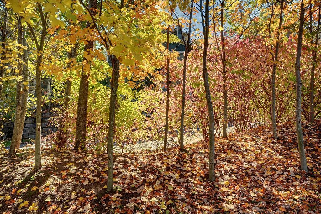 Jardin Du Village By Chez Tremblant Mont-Tremblant Phòng bức ảnh